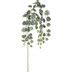 Trailing Eucalyptus Bush Hobby Lobby 2253656