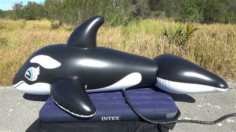 Massive 3 Meter Long Whale Ride On Pool Toy From Inflatable World Youtube