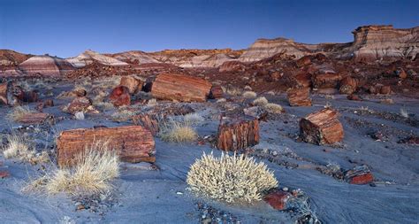 Petrified Forest National Park Wallpapers Wallpaper Cave