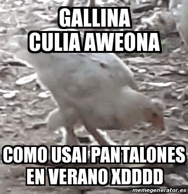 Meme Personalizado Gallina Culia Aweona Como Usai Pantalones En