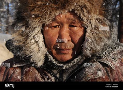 Yakutian Horses Hi Res Stock Photography And Images Alamy