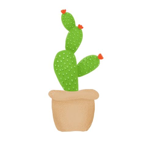 Hand Drawn Cactus Png Image Hand Drawn Cactus Potted Hand Drawn Plant