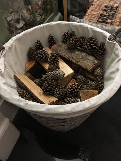 Pine Cones In The Log Basket Pine Cones Terrarium Log New Homes