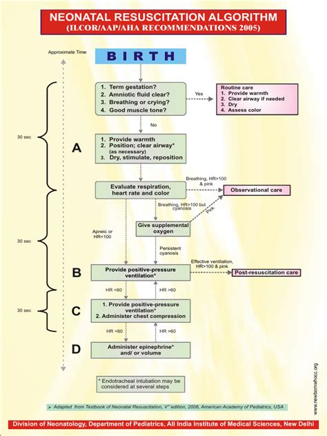 Neonatal Resuscitation | PDF | Cardiopulmonary Resuscitation | Neonatal ...