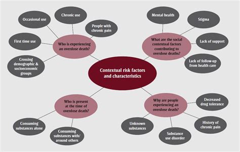 Exploring The Contextual Risk Factors And Characteristics Of