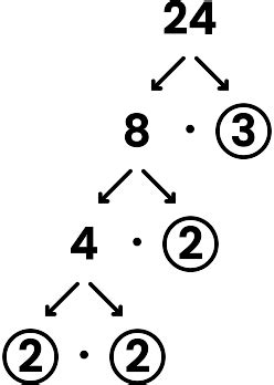 Prime Factorization Using a Factor Tree