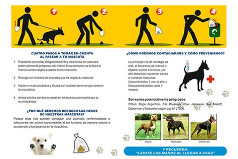 La Caca De Perro Es Peligrosa Para Los Humanos