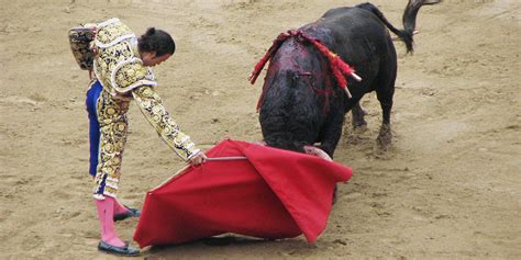 Spanish Bullfights To Be Televised In Primetime, When Children Are Watching | HuffPost