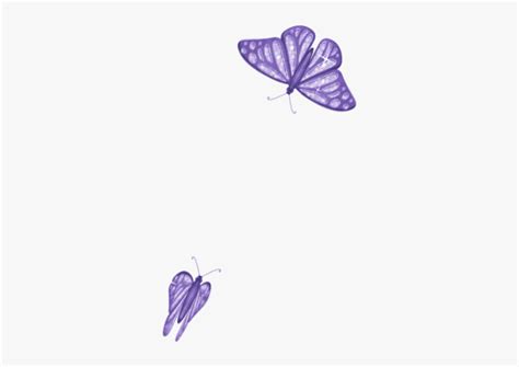 butterfly  butterfly transparent background gif hd png