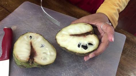 How To Eat A Cherimoya Chirimoya Chirimuya (Tropical Fruit) - Raihana's ...