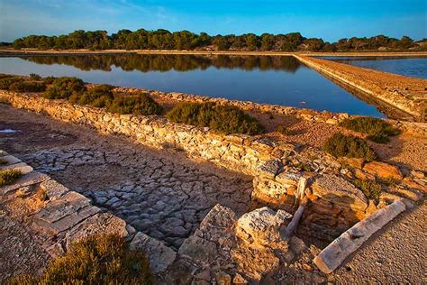 Descubre El Parque Natural De Las Salines De Formentera Bab Magazine