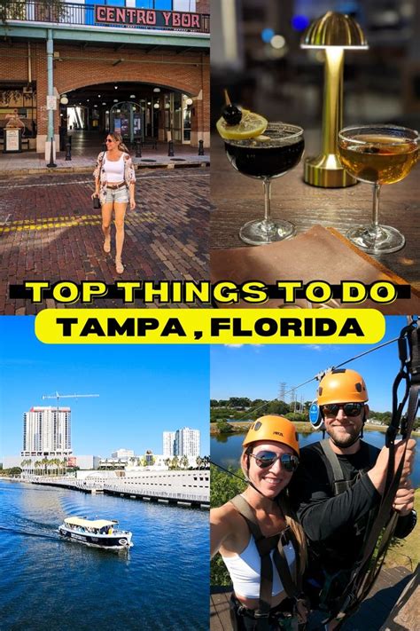 🌴 Best Things To Do Tampa Florida In 2024 In 2024 Things To Do