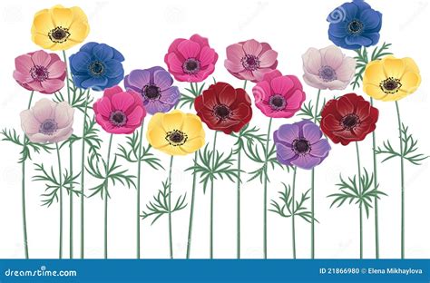 Anemones Stock Vector Illustration Of Colorful Beauty 21866980