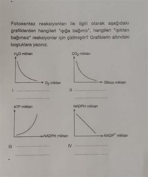 sen fotosentez Fotosentez reaksiyonları ile ilgili olarak aşağıdaki