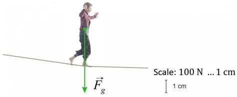 Introduction To Force Problem Openprof