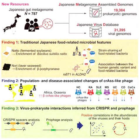 The intestinal microflora and viral flora of the Japanese population ...