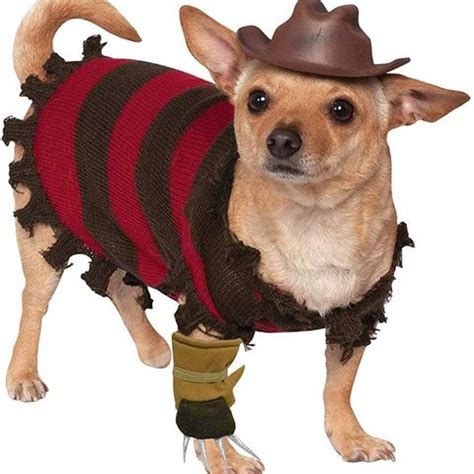 45 Funny Dog Halloween Costumes - Cute Dog Costume Ideas