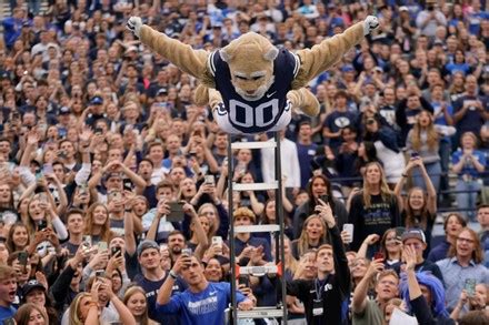 Byu Mascot Cosmo Leaps Off Ladder Editorial Stock Photo - Stock Image ...