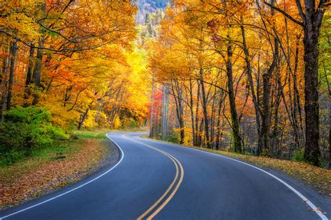 Fall Colors In Tennessee Beret Jeannette