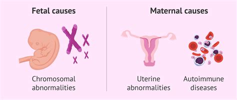 Factors leading to miscarriage