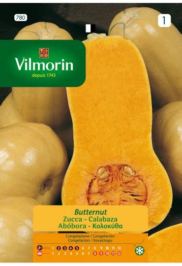 Semillas huerta y aromáticas VILMORIN SEMILLA CALABAZA BUTTERNUT