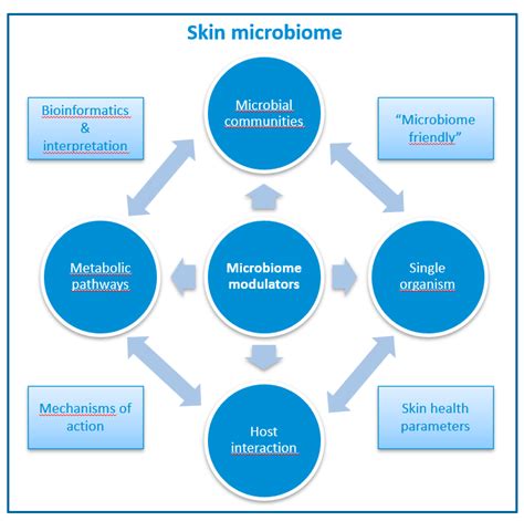 Improving skin health with microbiome modulators | NIZO