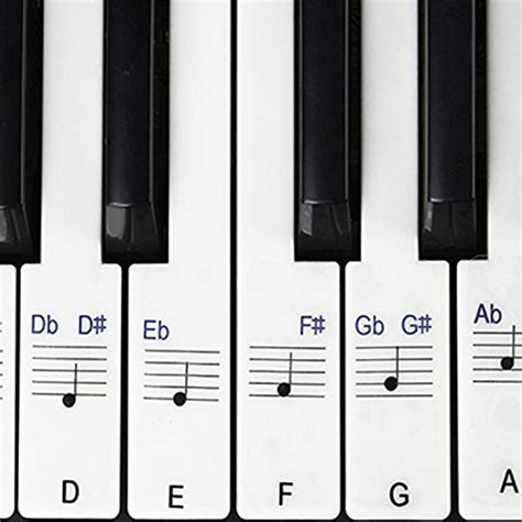 Stickers For Piano Keyboards Key Full Set Of Piano