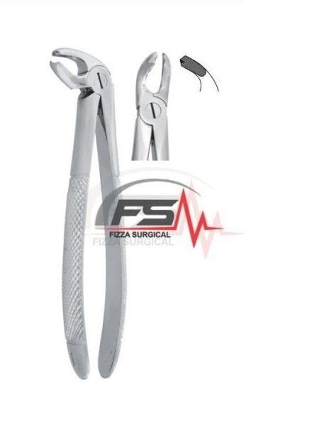 Extracting Forceps English Pattern Fig Upper Incisors And Canines