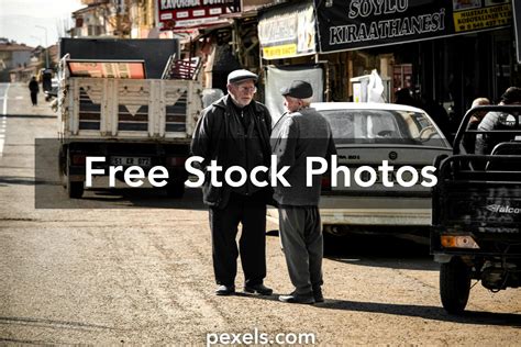 talking tom      talking tom stock