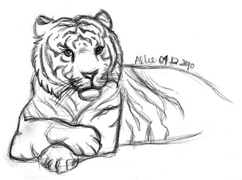 Sketch - Tiger Lying Look by starlightmemory on DeviantArt