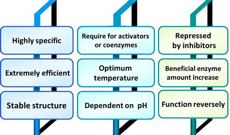 Catalytic Characteristics Of Enzymes Creative Enzymes