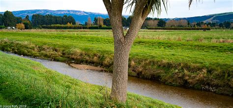 Dunedin New Zealand Photos - Silverstream Walk