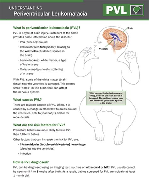 Understanding Periventricular Leukomalacia (PVL) - NICU Parent Education Resources