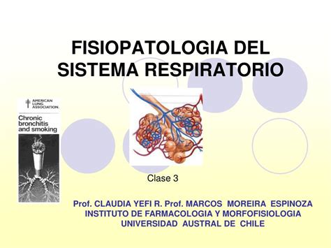 Fisiopatologia Do Sistema Respiratorio Fdplearn