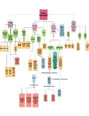 Biological Macromolecules Concept Map.pdf - Biological Macromolecules ... 