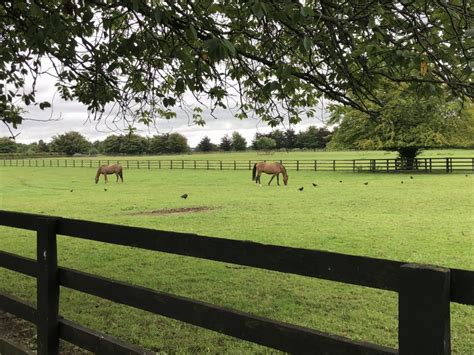 Irish National Stud And Gardens Tiplr