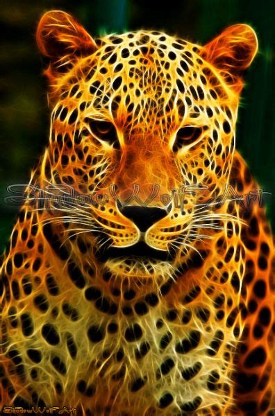 Fractal Leopard 5 Tiger Artwork Cool Artwork Big Cats Art Cat Art