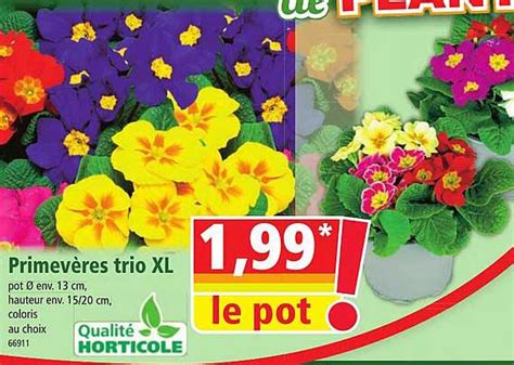 Promo Primev Res Trio Xl Chez Norma Icatalogue Fr