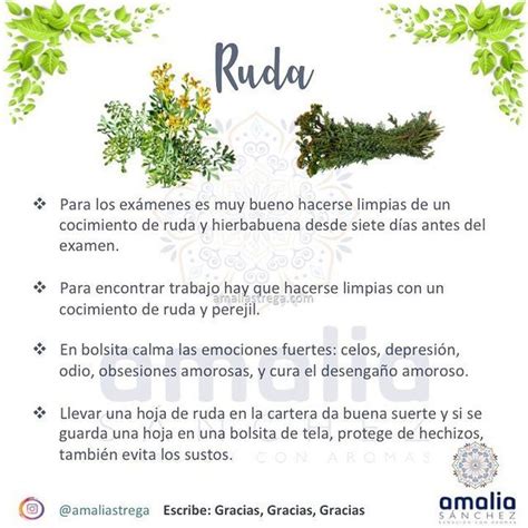 Amalia Strega On Instagram Informaci N Sobre Las Consultas En La