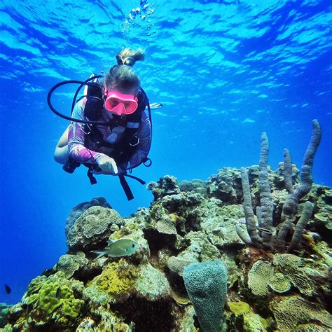 Marine Biologist Salary Guide for Sydney New South Wales 40