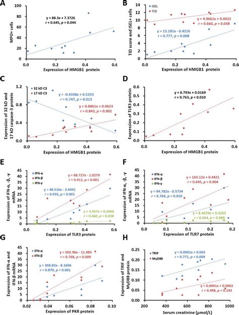 Correlations Between Hmgb1 Tlr3 Tlr7 Trif Pkr Caspase 3