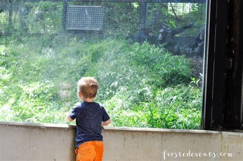 Fun Things to Do In Baltimore - Visit Maryland Zoo