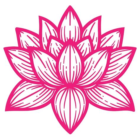 Premium Vector Lotus Flower Outline