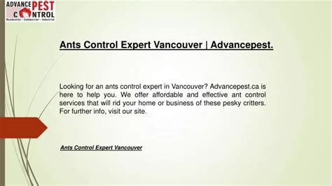 Ppt Ants Control Expert Vancouver Advancepest Ca Powerpoint