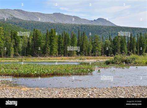 Summer In The Northern Urals National Park Yugyd Va Virgin Komi