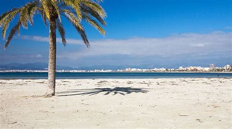 Playa De El Arenal Una De Las Playas M S Conocidas De Mallorca