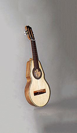 Puerto Rico Tiple Hartenberger World Musical Instrument Collection