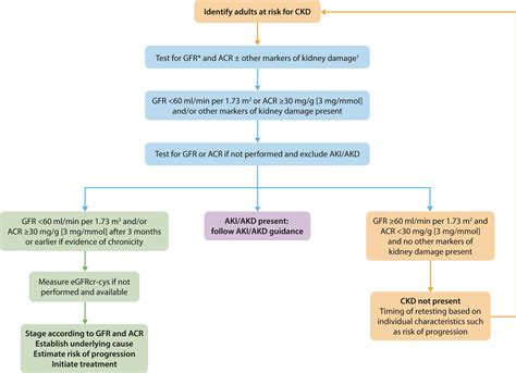 KDIGO 2024 Clinical Practice Guideline For The Evaluation And