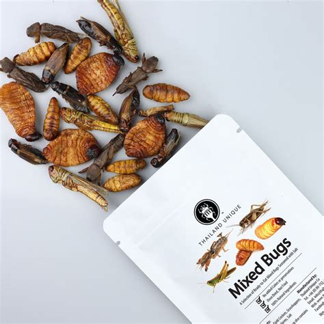 Mixed Edible Insects 15g. A selection of our most popular ready-to-eat ...