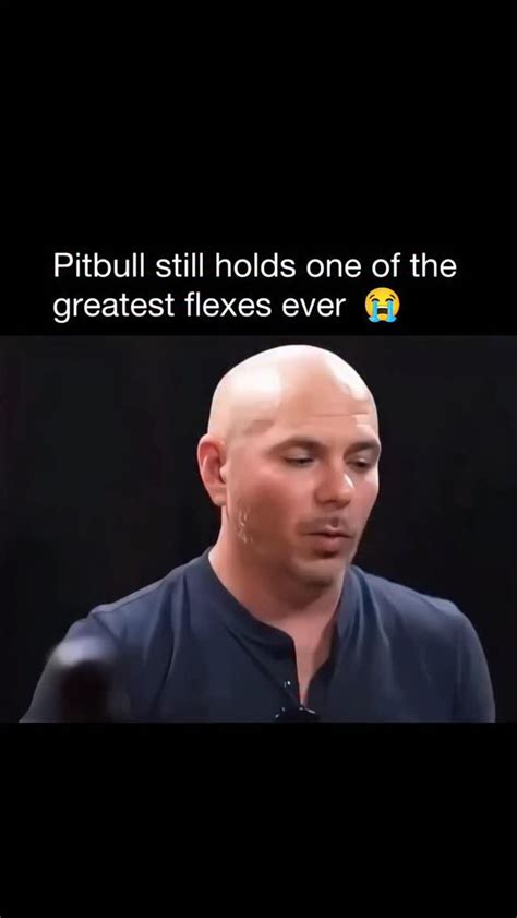 pitbulls chart topping collaborations